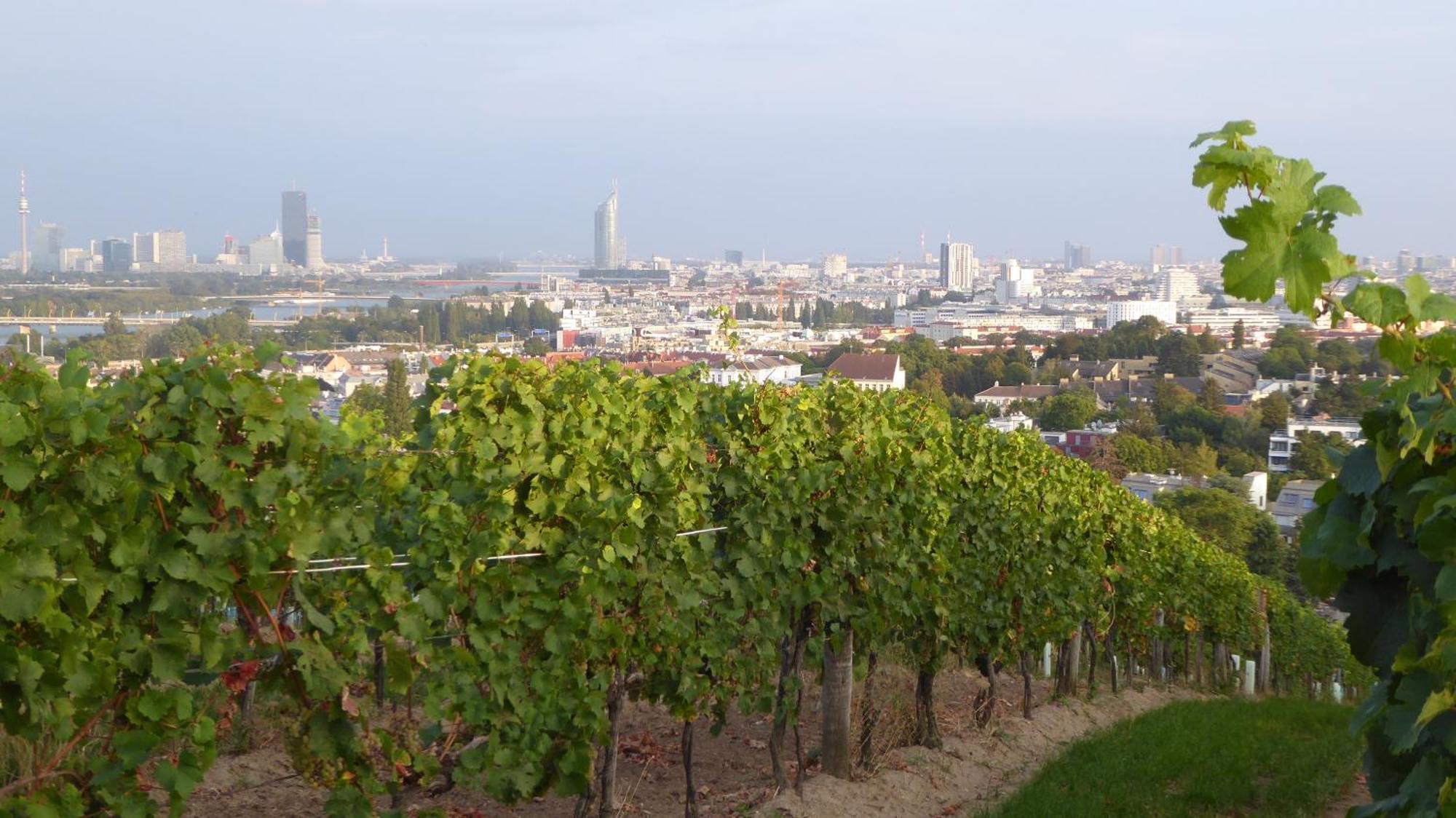 Wohnen Im Schoensten Viertel Wiens Exteriör bild